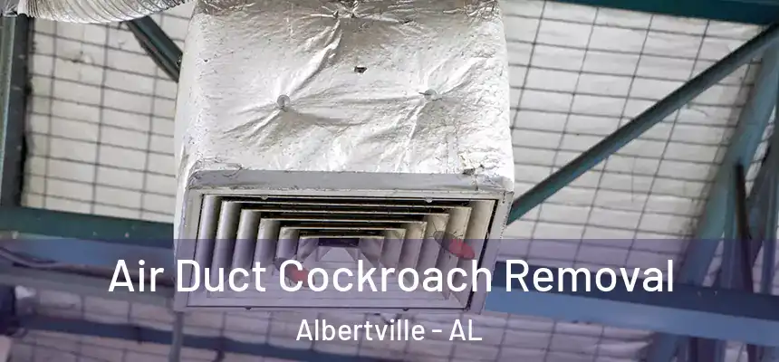  Air Duct Cockroach Removal Albertville - AL