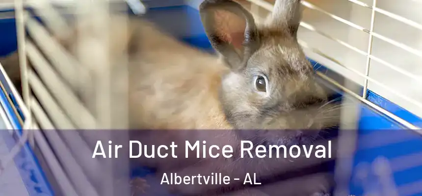  Air Duct Mice Removal Albertville - AL