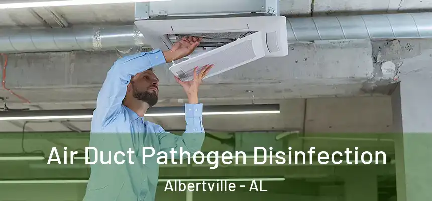  Air Duct Pathogen Disinfection Albertville - AL