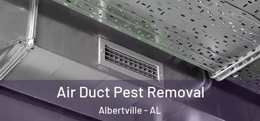  Air Duct Pest Removal Albertville - AL