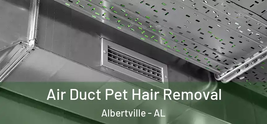 Air Duct Pet Hair Removal Albertville - AL