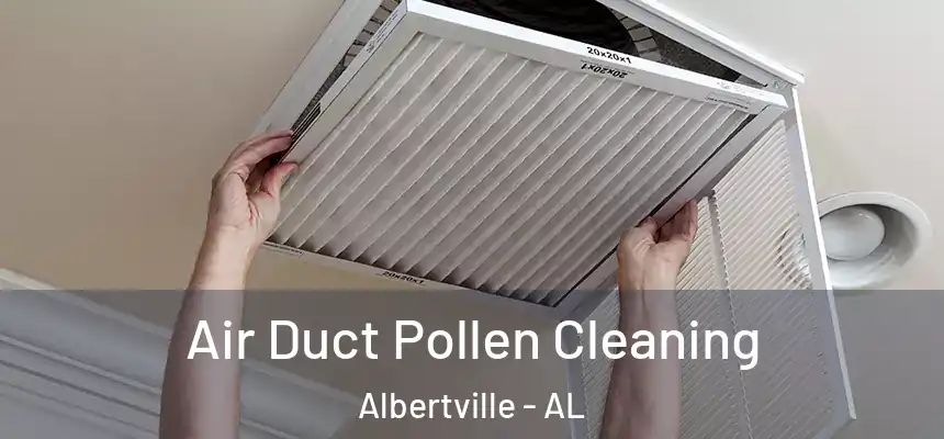 Air Duct Pollen Cleaning Albertville - AL
