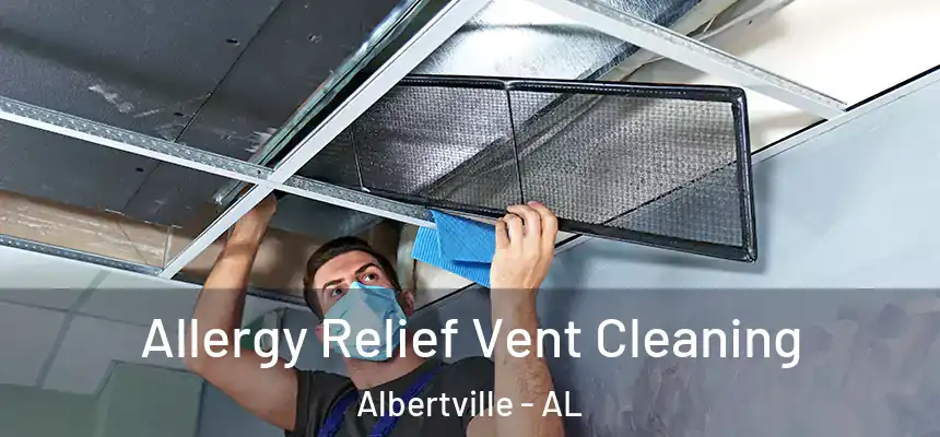  Allergy Relief Vent Cleaning Albertville - AL