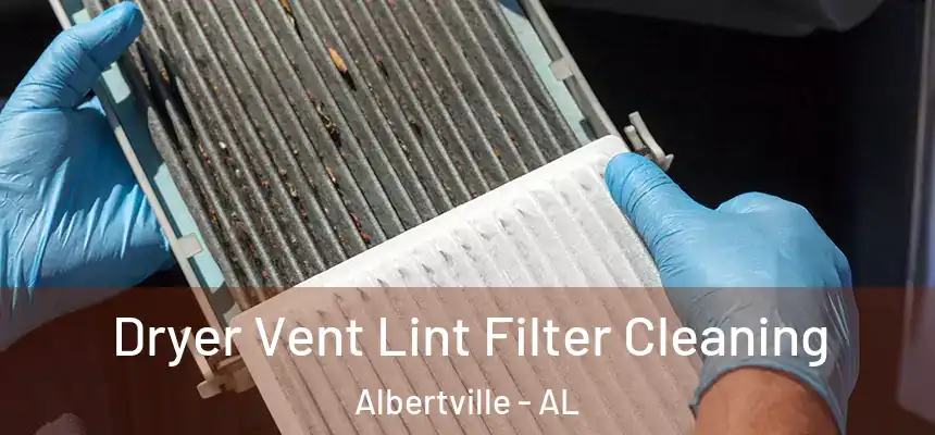  Dryer Vent Lint Filter Cleaning Albertville - AL