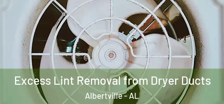  Excess Lint Removal from Dryer Ducts Albertville - AL