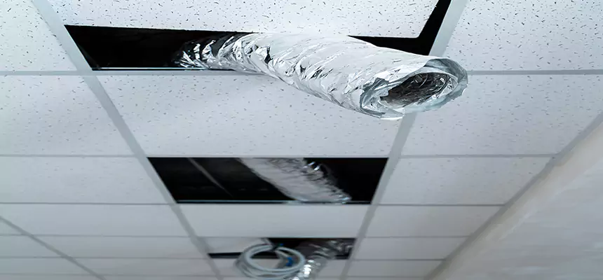 Our Air Duct Pet Hair Removal Services in Albertville, AL