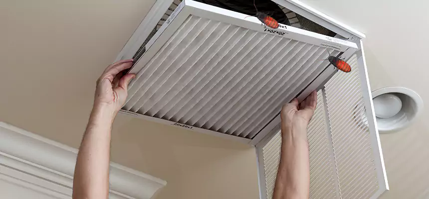 Our Insect Removal from Air Ducts Services in Albertville, AL