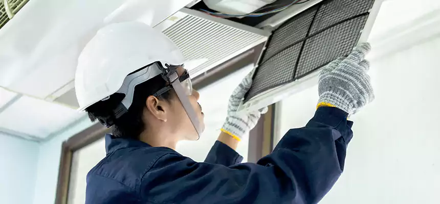 Our Mold & Mildew Removal from Air Ducts Services in Albertville, AL