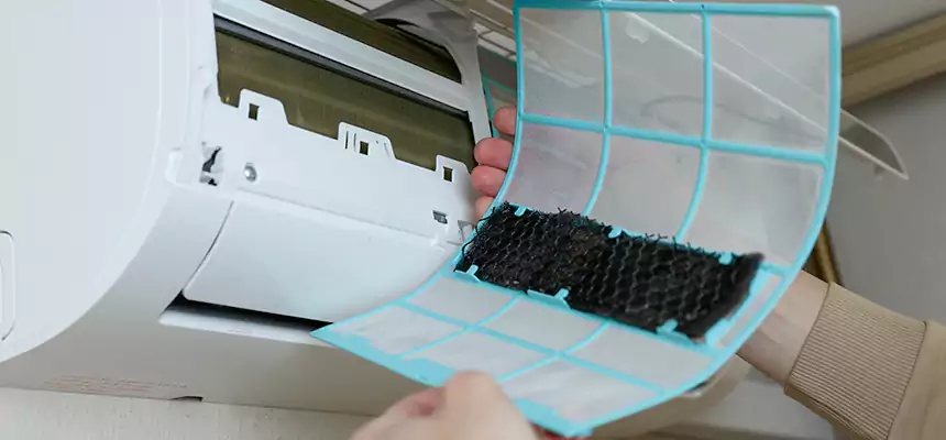 Gentle Ductwork Odor-Control Pet Dander Duct Cleaning in Albertville, AL