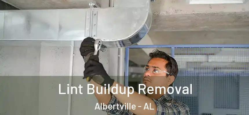 Lint Buildup Removal Albertville - AL