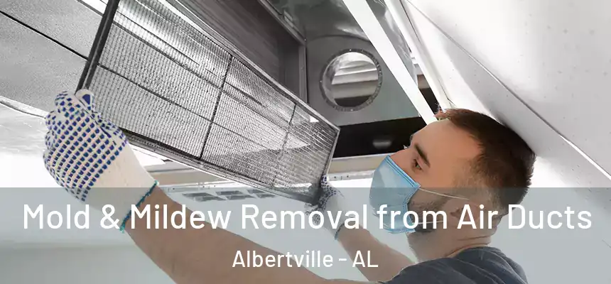  Mold & Mildew Removal from Air Ducts Albertville - AL