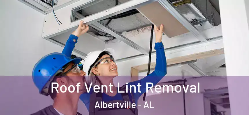  Roof Vent Lint Removal Albertville - AL