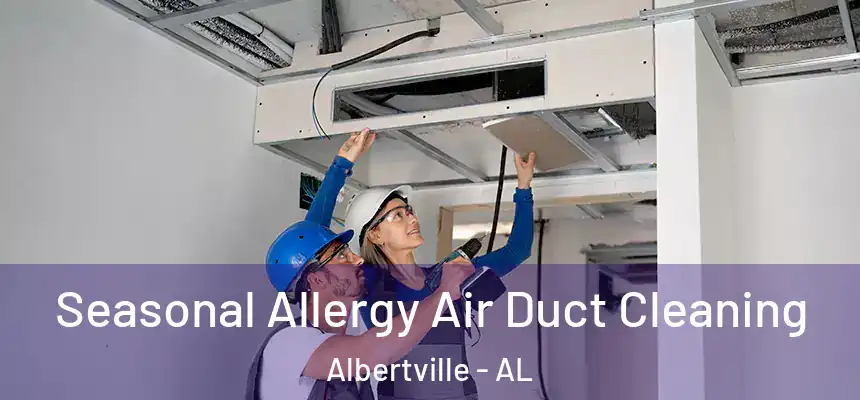  Seasonal Allergy Air Duct Cleaning Albertville - AL