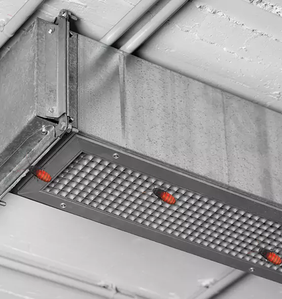 About Air Duct Cockroach Removal in Albertville, AL