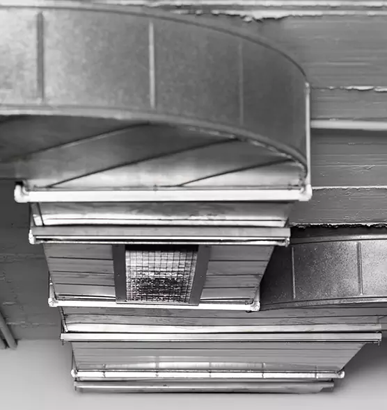 Professional Air Duct Pet Hair Removal in Albertville, AL