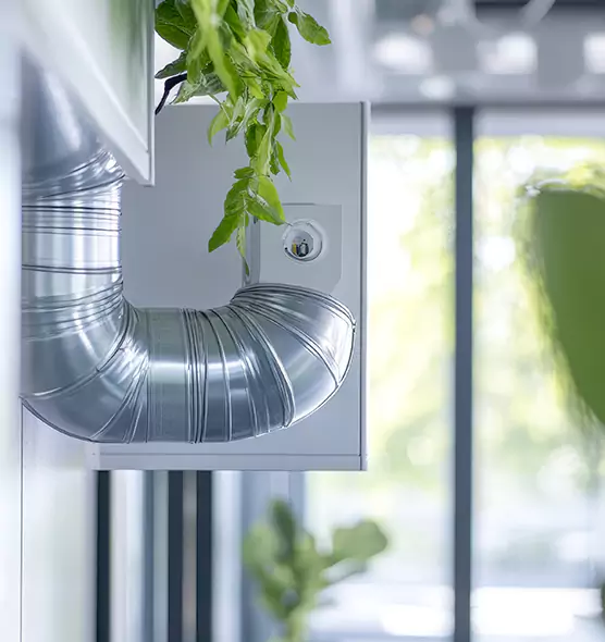 Professional Eco-Safe Dryer Vent Cleaning in Albertville, AL