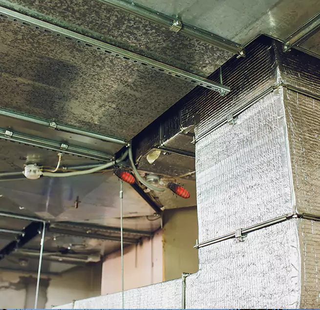 Why Homeowners & Businesses Trust Us Albertville, AL?